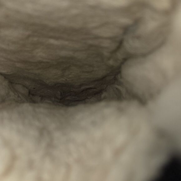 Ugg Ansley Womens Size 8 Black Suede Shearling/Sherpa Slippers  House Shoes - Picture 7 of 9